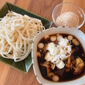 なすごま　つけ汁うどん